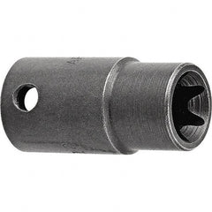 Apex - Impact Sockets Drive Size (Inch): 1/2 Torx Size: E14 - All Tool & Supply