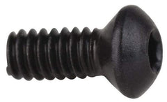 Borite - Screws for Indexable Boring Bars - Industry Std ICS-2 - All Tool & Supply