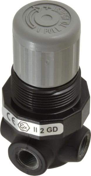 Norgren - 1/8" NPT Relief Valve - 0.7 CV Rate, 21 CFM, 100 Max psi, Knob Adjustment Actuator - All Tool & Supply