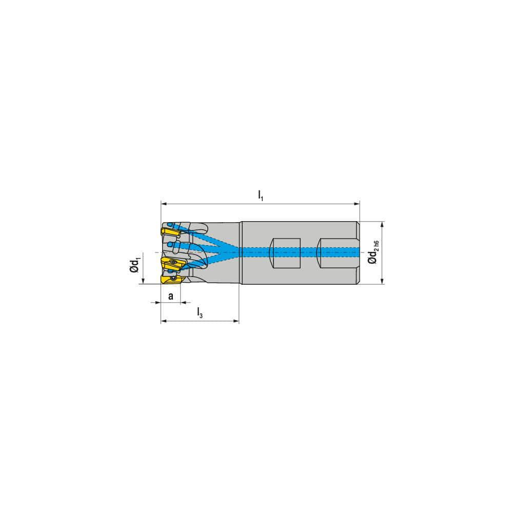 Indexable Square-Shoulder End Mill:  C211.40.R.06-11-B-50,  40.0000'' Shank Dia,  Weldon Flat Shank Uses  6,  Normal Pressure,  122.00 mm OAL