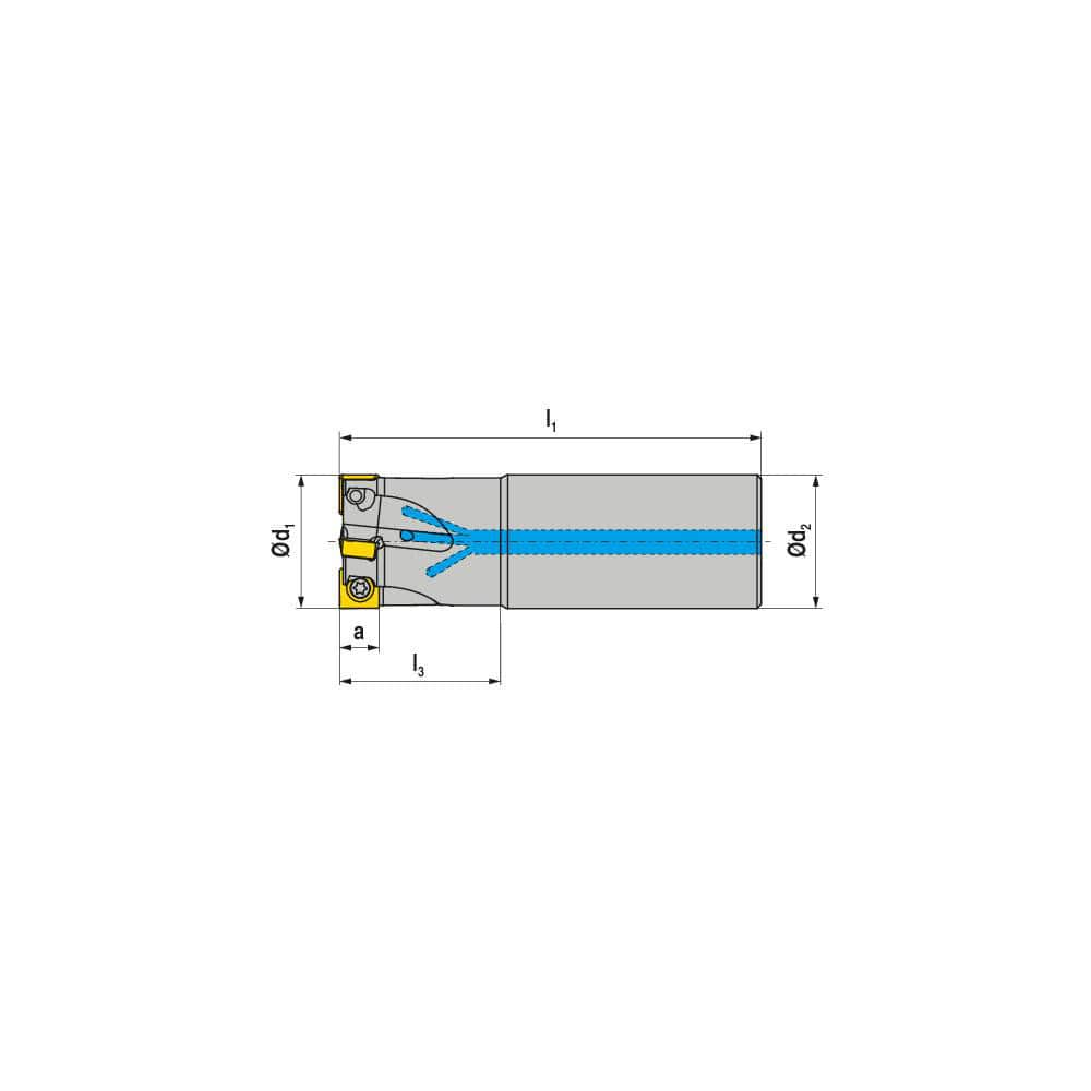 Indexable Square-Shoulder End Mill:  C490.25.R.0209A2040165,  20.0000'' Shank Dia,  Cylindrical Shank Uses  2,  Normal Pressure,  165.00 mm OAL