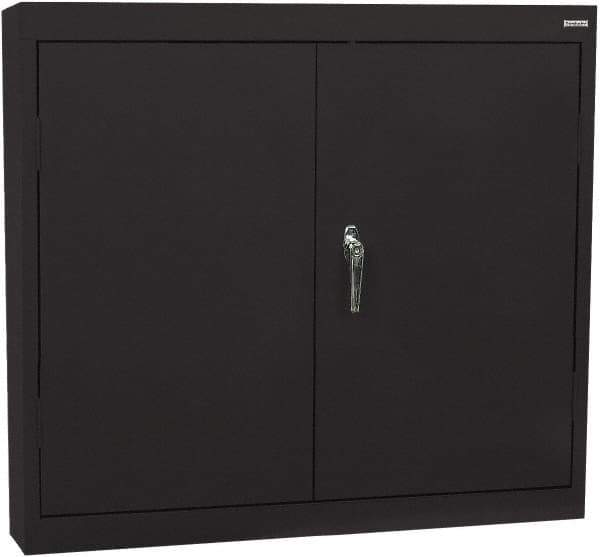 Sandusky Lee - 2 Shelf Wall Storage Cabinet - Steel, 30" Wide x 12" Deep x 30" High, Black - All Tool & Supply