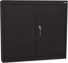 Sandusky Lee - 2 Shelf Wall Storage Cabinet - Steel, 30" Wide x 12" Deep x 30" High, Black - All Tool & Supply