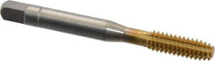 Balax - 1/4-20 UNC 2B H8 Thread Limit Bottoming Thread Forming Tap - Powdered Metal High Speed Steel, TiN Finish, 2-1/2" OAL, 0.79" Thread Length, Right Hand Thread, Series BXSTAINLESS - All Tool & Supply