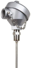 Thermo Electric - -148 to 900°F, 100 OMS Industrial RTD, Thermocouple Probe - 1/2 Inch Hex Mount, 12 Inch Probe Sheath Length, 10 Sec Response Time - All Tool & Supply