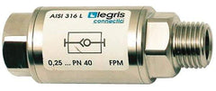 Legris - 1/4" Stainless Steel Check Valve - Unidirectional, Female BSPP x Male BSPP, 580 WOG - All Tool & Supply