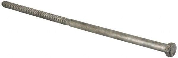 Value Collection - 1/2" Screw, 14" Length Under Head, Steel, Hex Head Lag Screw - Hot Dipped Galvanized, Grade 2 - All Tool & Supply