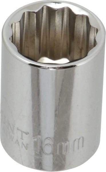 Paramount - 3/8" Drive, Standard Hand Socket - 12 Points, 1-3/16" OAL, Steel, Chrome Finish - All Tool & Supply