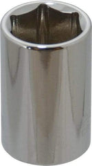 Paramount - 1/2" Drive, Standard Hand Socket - 6 Points, 1-1/2" OAL, Steel, Chrome Finish - All Tool & Supply