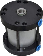 Parker - 2" Stroke x 2" Bore Double Acting Air Cylinder - 1/8 Port, 1/2-20 Rod Thread, -10 to 200°F - All Tool & Supply