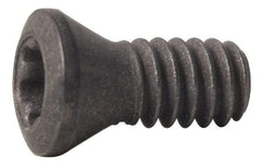 Seco - Lock Screw for Indexable Turning - For Use with Inserts - All Tool & Supply