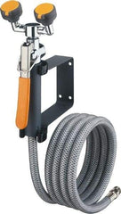 PRO-SAFE - Plumbed Drench Hoses Mount: Wall Style: Dual Spray Head - All Tool & Supply