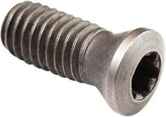 Seco - Torx Plus Clamping Screw for Indexable Turning - For Use with Clamps - All Tool & Supply