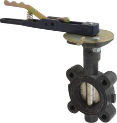 NIBCO - 2" Pipe, Lug Butterfly Valve - Lever Handle, Ductile Iron Body, EPDM Seat, 250 WOG, Ductile Iron Disc, Stainless Steel Stem - All Tool & Supply