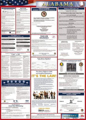 NMC - 24" Wide x 40" High Laminated Paper Labor Law Information Poster - Alabama Jurisdiction, 0.03" Thick, English - All Tool & Supply