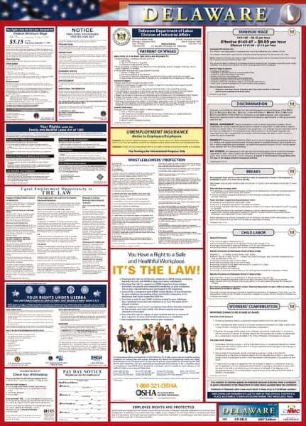 NMC - 24" Wide x 40" High Laminated Paper Labor Law Information Poster - Delaware Jurisdiction, 0.03" Thick, English - All Tool & Supply