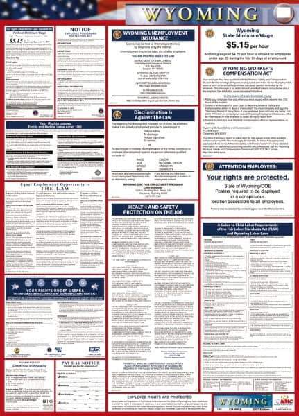 NMC - 24" Wide x 40" High Laminated Paper Labor Law Information Poster - Wyoming Jurisdiction, 0.03" Thick, English - All Tool & Supply