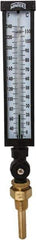 Winters - 30 to 240°F, Industrial Thermometer with Standard Thermowell - 3 Inch Immersion Length, 3-1/2 Inch Stem Length, 17 Inch Long, 3/4 Inch Thread - All Tool & Supply