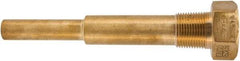 Winters - 6-3/4 Inch Overall Length, 3/4 Inch Thread, Brass Thermowell - 5 Inch Insertion Length - All Tool & Supply