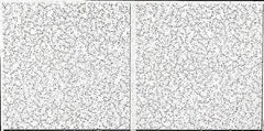 Armstrong World - 48" Long x 24" Wide, Wet-Formed Mineral Fiber Acoustic Ceiling Tile - ASTM E1264 Specification, White - All Tool & Supply