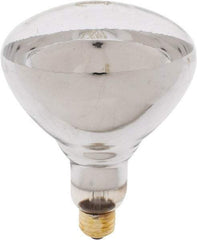 Philips - 250 Watt Incandescent Flood/Spot Medium Screw Lamp - 2,700°K Color Temp, 2,700 Lumens, 120 Volts, Dimmable, BR40, 5,000 hr Avg Life - All Tool & Supply