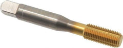 Balax - 3/8-24 UNF 2B H8 Thread Limit Bottoming Thread Forming Tap - Powdered Metal High Speed Steel, TiN Finish, 2-15/16" OAL, 0.95" Thread Length, Right Hand Thread, Series BXSTAINLESS - All Tool & Supply