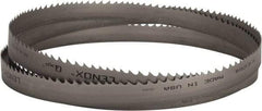 Lenox - 2 to 3 TPI, 11' 6" Long x 1-1/4" Wide x 0.042" Thick, Welded Band Saw Blade - Bi-Metal, Toothed Edge, Raker Tooth Set, Flexible Back, Contour Cutting - All Tool & Supply