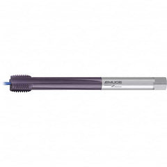 Emuge - Extension Taps Thread Size: M42x4.5 Overall Length (mm): 340.00 - All Tool & Supply