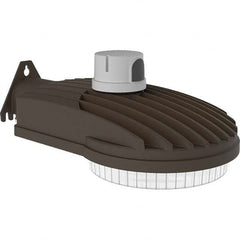 Hubbell Lighting - Parking Lot & Roadway Lights Fixture Type: Roadway Light Lamp Type: LED - All Tool & Supply