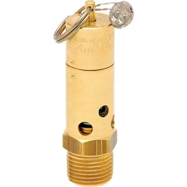 Control Devices - 1/2" Inlet, ASME Safety Valve - All Tool & Supply