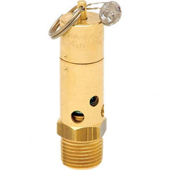 Control Devices - 1/2" Inlet, ASME Safety Valve - All Tool & Supply