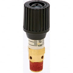 Control Devices - 1/4" Inlet, ASME Safety Valve - All Tool & Supply