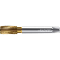 Walter-Prototyp - M8x1.00 DIN 2174 6HX 7.590 Thread Limit Semi-Bottoming Thread Forming Tap - Powdered Metal High Speed Steel, TiN Finish, 90mm OAL, 12mm Thread Length, Right Hand Thread, Series TC420 - All Tool & Supply