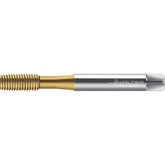 Walter-Prototyp - M4x0.70 DIN 2174 6GX 3.700 Thread Limit Semi-Bottoming Thread Forming Tap - Powdered Metal High Speed Steel, TiN Finish, 64.87mm OAL, 7mm Thread Length, Right Hand Thread, Series TC420 - All Tool & Supply