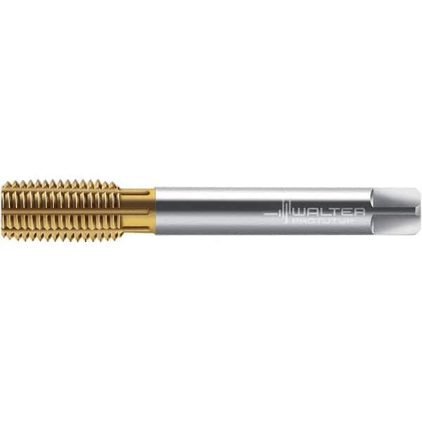 Walter-Prototyp - M12x1.75 DIN 2174 6GX 11.280 Thread Limit Semi-Bottoming Thread Forming Tap - Powdered Metal High Speed Steel, TiN Finish, 110mm OAL, 16mm Thread Length, Right Hand Thread, Series TC430 - Exact Industrial Supply