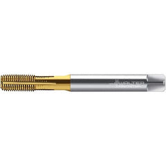 Walter-Prototyp - M8x1.25 DIN 2174 6HX 7.490 Thread Limit Semi-Bottoming Thread Forming Tap - Powdered Metal High Speed Steel, TiN Finish, 90mm OAL, 12mm Thread Length, Right Hand Thread, Series TC430 - All Tool & Supply