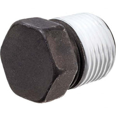 USA Sealing - Black Pipe Fittings Type: Hex Plug Fitting Size: 1 (Inch) - All Tool & Supply