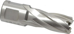 Hougen - 5/8" Diam x 1" Deep High Speed Steel Annular Cutter - All Tool & Supply