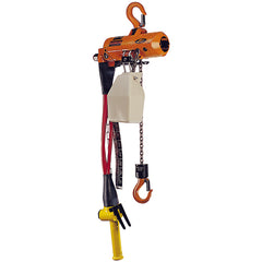 Air Chain Hoist 250 lb Cap 10 Ft Lift - Exact Industrial Supply