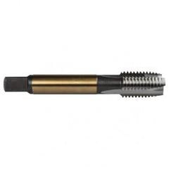 M10X1.5 3FL 6H CO SPPT PL TAP - All Tool & Supply