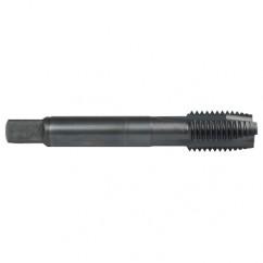 M12X1.75 3FL 6H HS SPPT PLUG TAP - All Tool & Supply