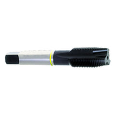 ‎M3.5 × 0.60 Dia-D4-2 FL-Std Spiral Point Tap-Yellow Ring - All Tool & Supply