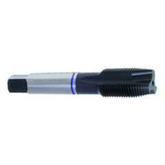 ‎5/16-24 Dia-H3-3 FL-Std Spiral Point Tap-Blue Ring - All Tool & Supply