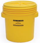 20GAL LAB PACK W/SCREW TOP LID - All Tool & Supply