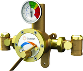 Guardian tempering valve blends hot and cold water to deliver tepid water. Flow capacity is 3.0 to 34 GPM, for use with a single emergency shower, or multiple eyewash, eye/face wash, eyewash/drench hose or drench hose units. - All Tool & Supply