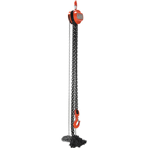 Manual Chain Hoist 10K Capacity 20 Ft - Exact Industrial Supply