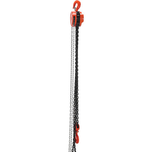 Manual Chain Hoist 6K Capacity 20 Ft - Exact Industrial Supply