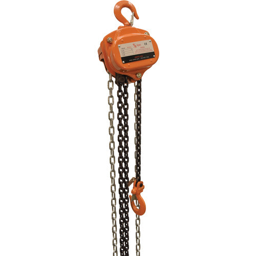 Professional Chain Hoist 1K 10 Ft - Exact Industrial Supply