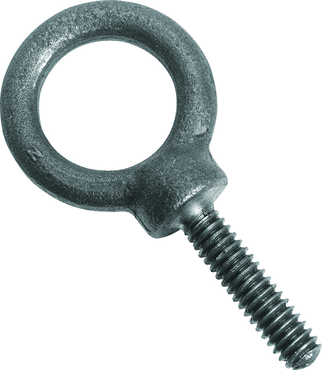 Protoå Forged Eye Bolt - 2.75" - All Tool & Supply