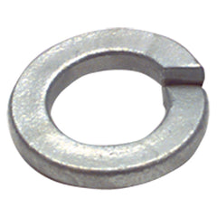 M12 Bolt Size - Zinc Plated Carbon Steel - Split Lock Washer - All Tool & Supply